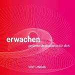 Veit Lindau: Erwachen - geführte Meditationen für dich: Finde Zugang zur unerschöpflichen Weisheit und Heilkraft deiner Seele