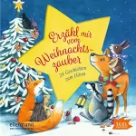 Henriette Wich, Rolf Krenzer, Anne Ameling, Antonia Michaelis, Maren von Vogel: Erzähl mir vom Weihnachtszauber: 
