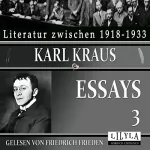 Karl Kraus: Essays 3: Endlich, der kleine Brockhaus, Druckfehlerteufel, Werkstatt, Erstens und Zweitens u.a.