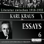 Karl Kraus: Essays 6: 
