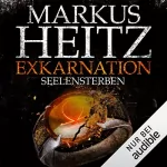 Markus Heitz: Exkarnation: Seelensterben