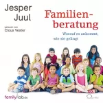 Jesper Juul: Familienberatung: Perspektiven und Prozess