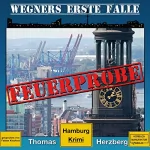Thomas Herzberg: Feuerprobe: Wegners erste Fälle 2