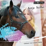 Antje Szillat: Filmpferd in Not: Drei Pferdefreundinnen 1