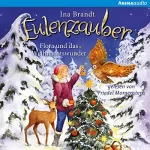 Ina Brandt: Flora und das Weihnachtswunder: Eulenzauber-Sonderband