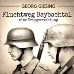 Georg Giesing: Fluchtweg Baybachtal: Eine Kriegserzählung
