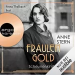 Anne Stern: Fräulein Gold. Scheunenkinder: Die Hebamme von Berlin 2