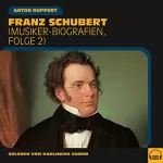 Anton Ruppert: Franz Schubert: Musiker-Biografien 2