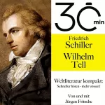 Jürgen Fritsche, Friedrich Schiller: Friedrich Schillers - "Wilhelm Tell": 30 Minuten - Weltliteratur kompakt
