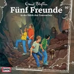 Enid Blyton, Katrin McClean: Fünf Freunde in der Höhle des Urmenschen: Fünf Freunde 95