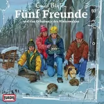Enid Blyton, Katrin McClean: Fünf Freunde und das Geheimnis des Winterwaldes: Fünf Freunde 93