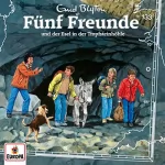 Enid Blyton, Katrin McClean: Fünf Freunde und der Esel in der Tropfsteinhöhle: Fünf Freunde 133