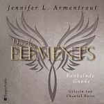 Jennifer L. Armentrout: Funkelnde Gnade: Dark Elements 6