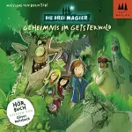 Matthias von Bornstädt: Geheimnis im Geisterwald: Die Drei Magier 2