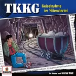 Stefan Wolf, Martin Hofstetter: Geiselnahme im Villenviertel: TKKG 211
