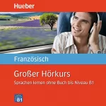 Nicole Laudut, Catherine Patte-Möllmann: Großer Hörkurs Französisch: Sprachen lernen ohne Buch bis Niveau B1