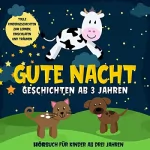 Lena Daenekas: Gute Nacht Geschichten ab 3 Jahren. Tolle Kindergeschichten zum Lernen, Einschlafen und Träumen: Hörbuch für Kinder ab drei Jahren