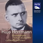 Karl Höffkes: Hajo Herrmann: Erinnerungen eines deutschen Luftwaffenoffiziers