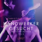 Christina Tempest: Handwerker gesucht 2: Erotische Novelle