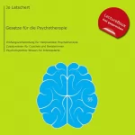 Joachim Letschert: Heilpraktiker Psychotherapie - Gesetze: Prüfungsvorbereitung für HeilpraktikerInnen für Psychotherapie