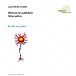 Joachim Letschert: Hörbuch zur Ausbildung für Heilpraktiker: Das Nervensystem: 