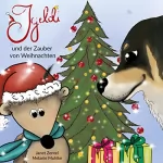 Janet Zentel: Igeldi - und der Zauber von Weihnachten: Igeldi, Buch 2