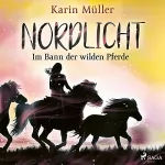 Karin Müller: Im Bann der wilden Pferde: Nordlicht 2