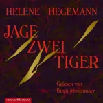 Helene Hegemann: Jage zwei Tiger: 