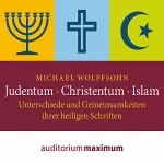 Michael Wolffsohn: Judentum, Christentum, Islam: Unterschiede und Gemeinsamkeiten ihrer heiligen Schrift: 