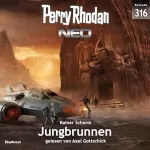 Rainer Schorm: Jungbrunnen: Perry Rhodan Neo 316