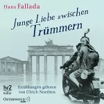 Hans Fallada: Junge Liebe zwischen Trümmern: Erzählungen