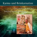 Sukadev Volker Bretz: Karma und Reinkarnation: Das Leben nach dem Tod - Schicksal und Wiedergeburt