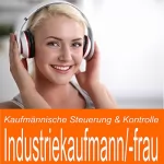 Ben Reichgruen: Kaufmännische Steuerung & Kontrolle für Industriekaufmann / Industriekauffrau: 