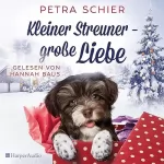 Petra Schier: Kleiner Streuner - große Liebe: Weihnachtshund 2