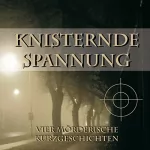 Andreas Gruber: Knisternde Spannung: 