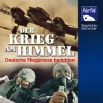 Karl Höffkes: Krieg am Himmel: Deutsche Fliegerasse berichten