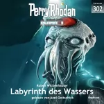 Ruben Wickenhäuser: Labyrinth des Wassers: Perry Rhodan Neo 302