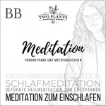 Christiane M. Heyn: Meditation Traumstrand und Meeresrauschen - Meditation BB - Meditation zum Einschlafen: Schlafmeditation - Entspannungsmeditation - Geführte Heilmeditation zum Entspannen