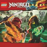 N.N.: Meister der Zeit: LEGO Ninjago 65-66