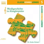 Stefan Schaub: Musikgeschichte in Klangbeispielen: KlassikKennenLernen 5