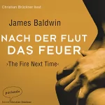 James Baldwin: Nach der Flut das Feuer: 