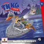 Stefan Wolf, Frank Gustavus: Nachts im Gruselpark: TKKG Junior 10