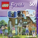 N.N.: Nachts im Leuchtturm: Lego Friends 30
