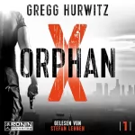 Gregg Hurwitz, Mirga Nekvedavicius - Übersetzer: Orphan X: Orphan X 1