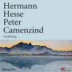 Hermann Hesse: Peter Camenzind: 