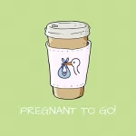 Kim Fleckenstein: Pregnant To Go! Mentaltraining Kinderwunsch: Mit Mentaltraining zum Baby