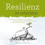 Birgit Eberle: Resilienz ist erlernbar: Wie Sie durch den Aufbau der inneren Stärke Stress bewältigen, widerstandsfähiger werden und Depressionen vorbeugen