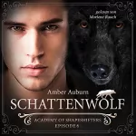 Amber Auburn: Schattenwolf: Academy of Shapeshifters 6