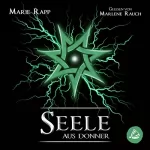 Marie Rapp: Seele aus Donner: Seelen-Saga 4