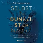 Ali Kassemyar: Selbst in dunkelster Nacht: Liora & Kieran 1